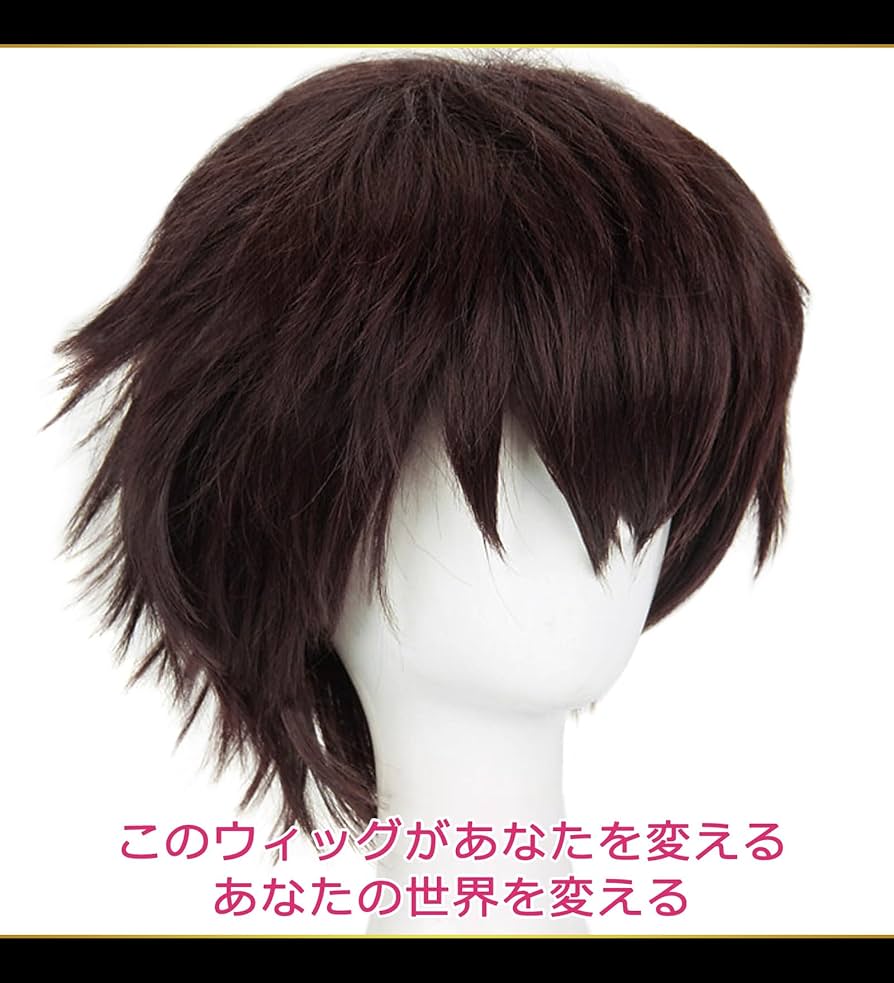 Amazon.co.jp: CaseEden コスプレ ウィッグ プレミアム カッコ